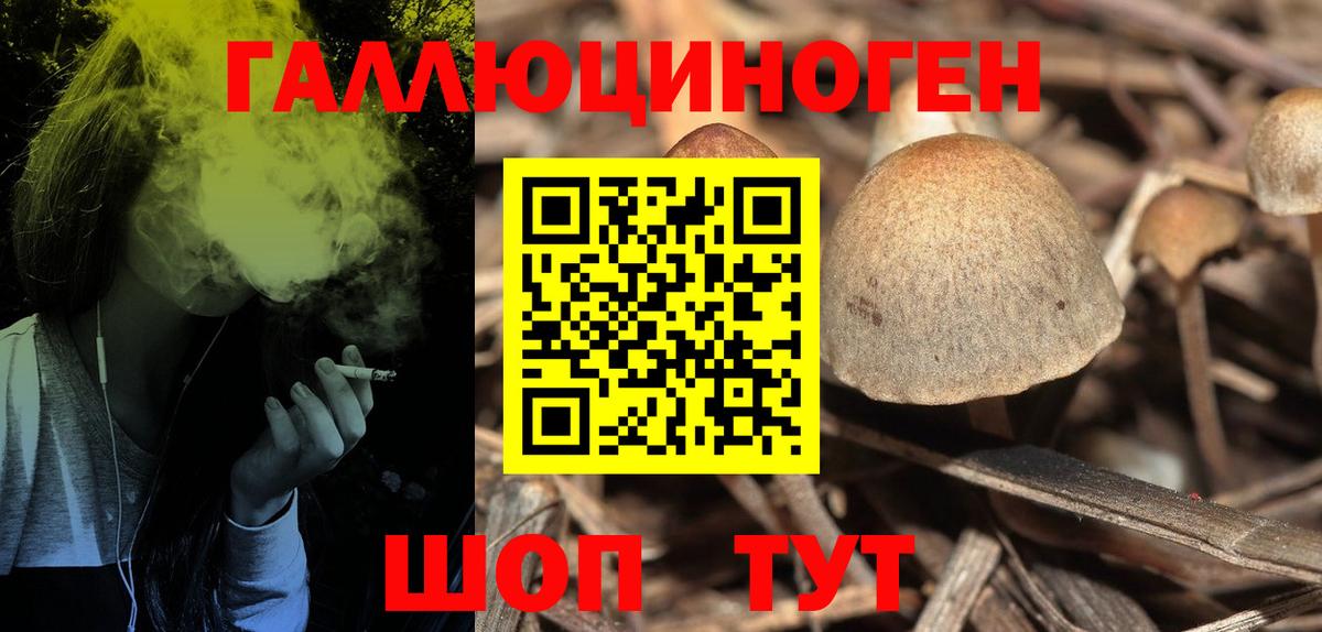Галлюциногенные грибы GOLDEN TEACHER Глазов